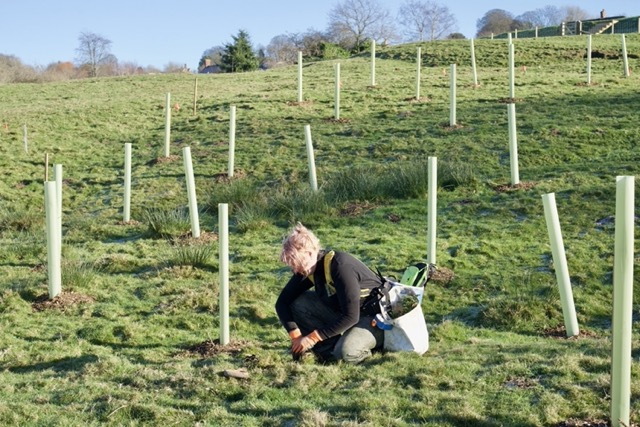 Uk TreeApp