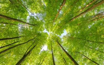 Achieving Our 2025 ESG Target: A Shared Commitment to Responsible Growth