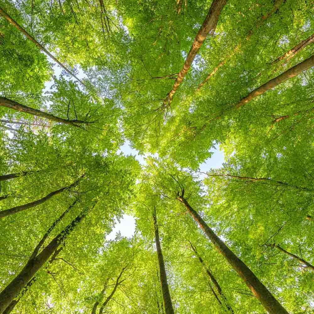 Exwold commitment to sustainable contract manufacturing